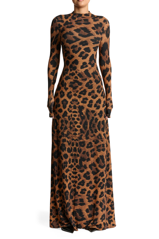 Leopard Print Long Sleeve Maxi Dress
