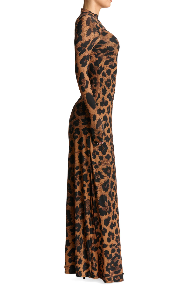 Leopard Print Long Sleeve Maxi Dress