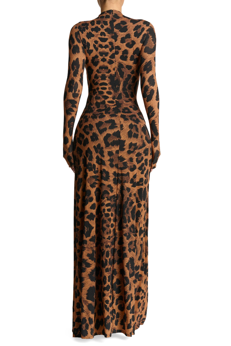 Leopard Print Long Sleeve Maxi Dress